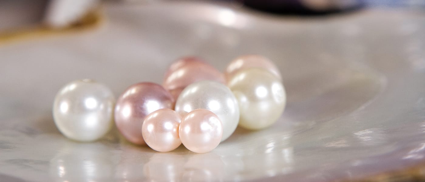 Everything to know about the Pearl